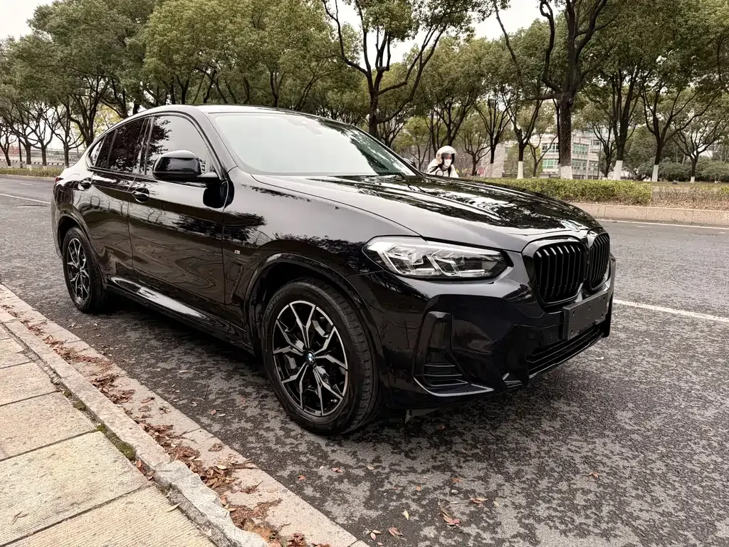 BMW X4 2023 из CN, фото 5