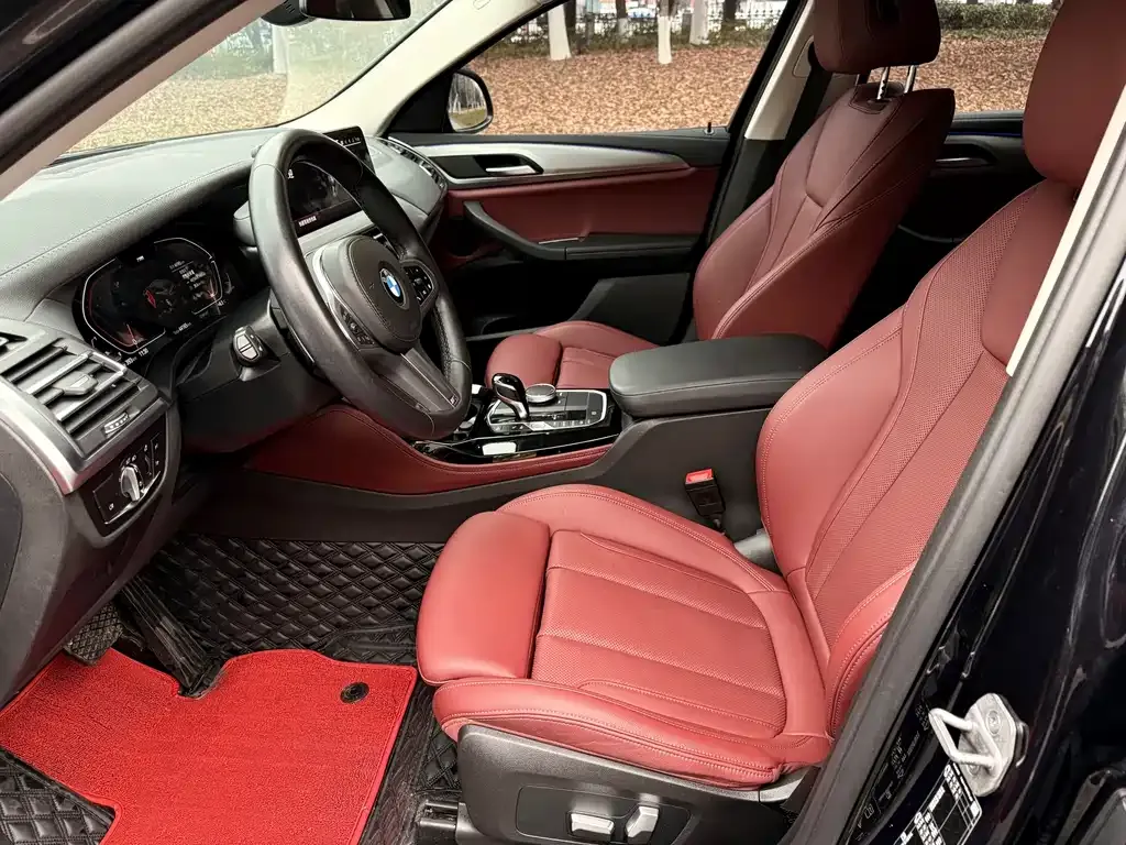 BMW X4 2023 из CN, фото 4