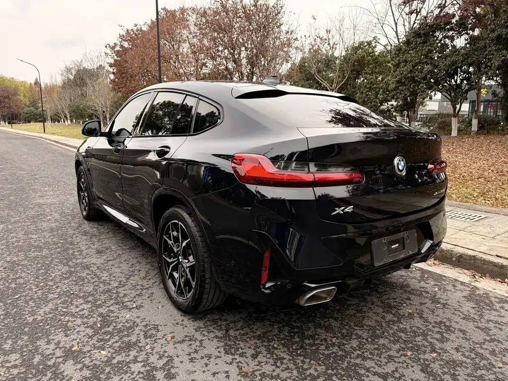 BMW X4 2023 из CN, фото 9