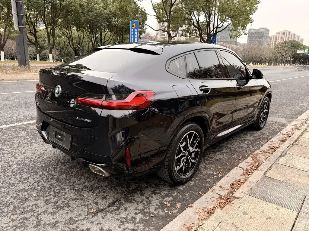 BMW X4 2023 из CN, фото 7