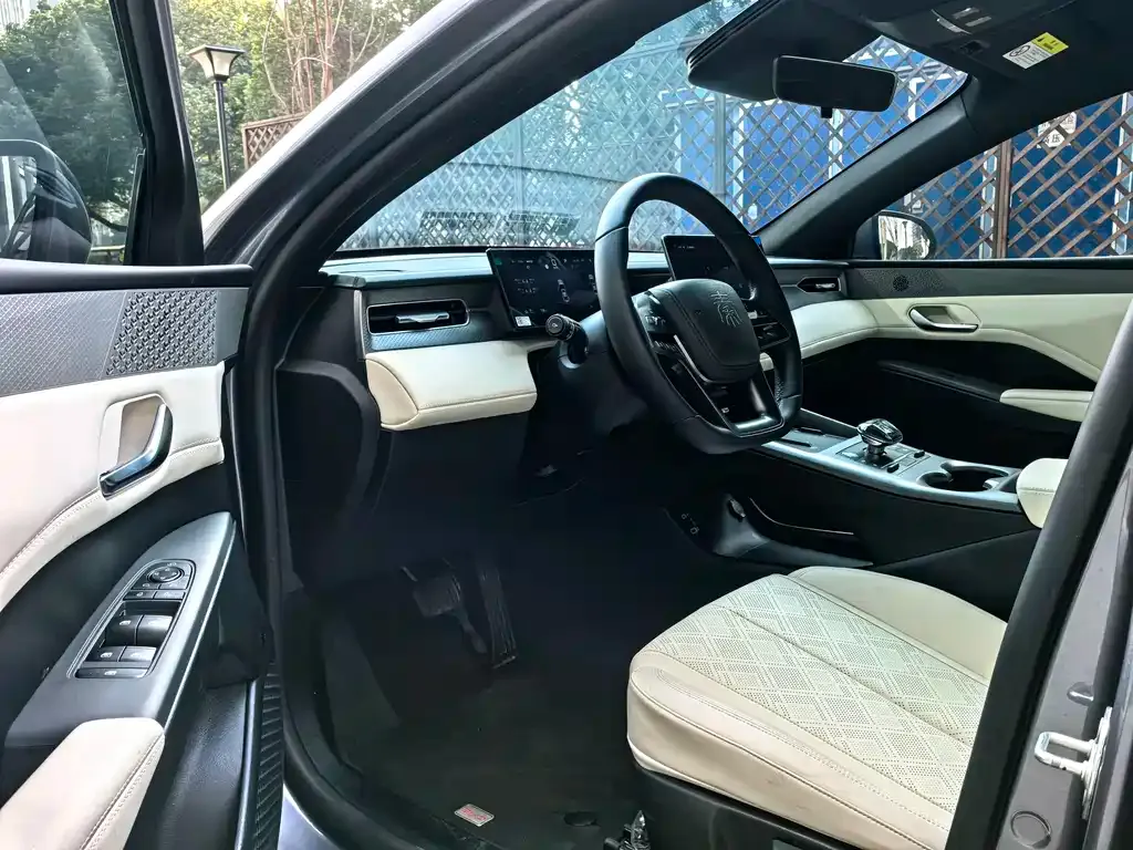 BYD Qin PLUS 2025 из CN, фото 2
