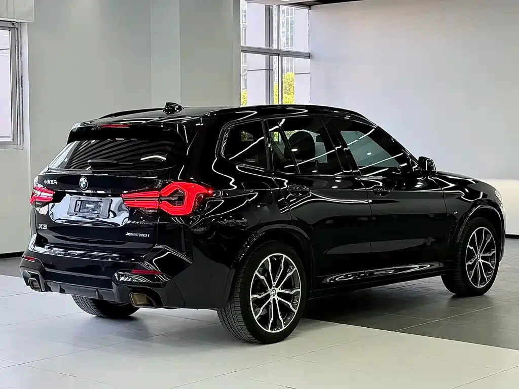 BMW X3 2022 из CN, фото 6