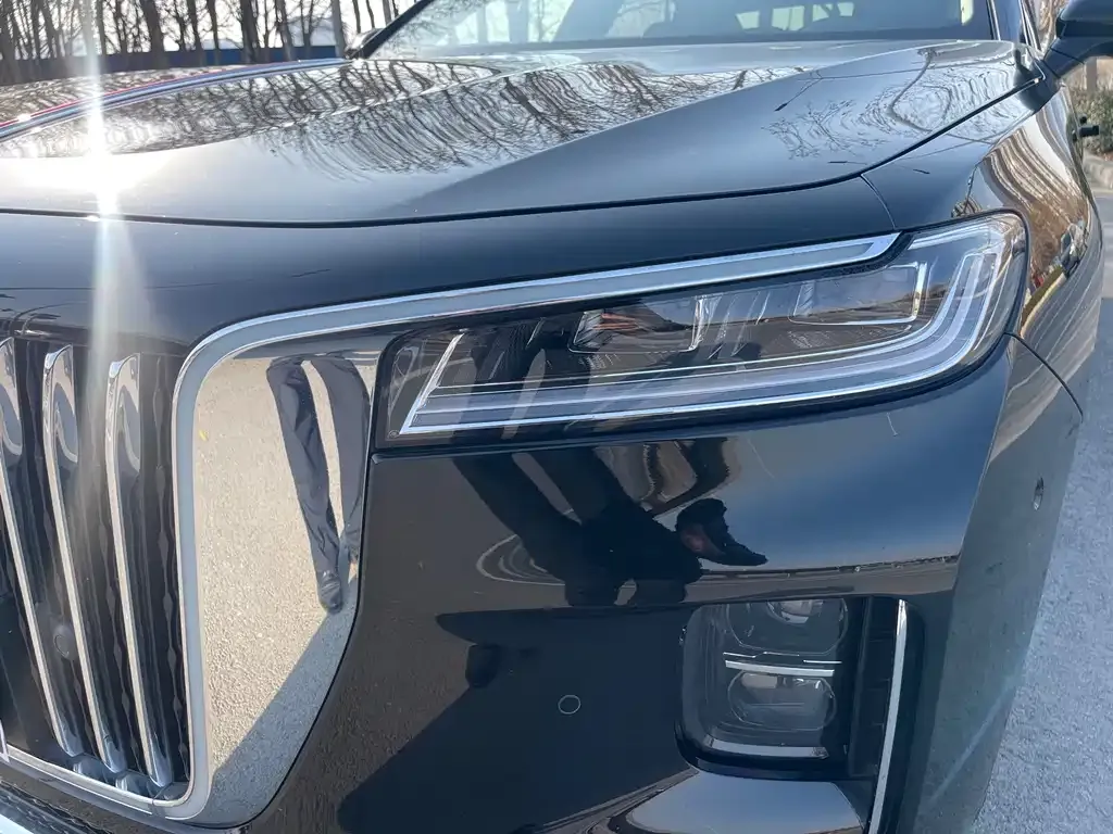 Hongqi H9 2022 из CN, фото 6