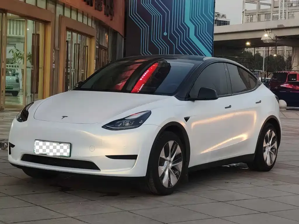 Tesla Model Y 2022 из CN, фото 1