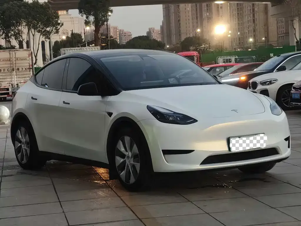 Tesla Model Y 2022 из CN, фото 7
