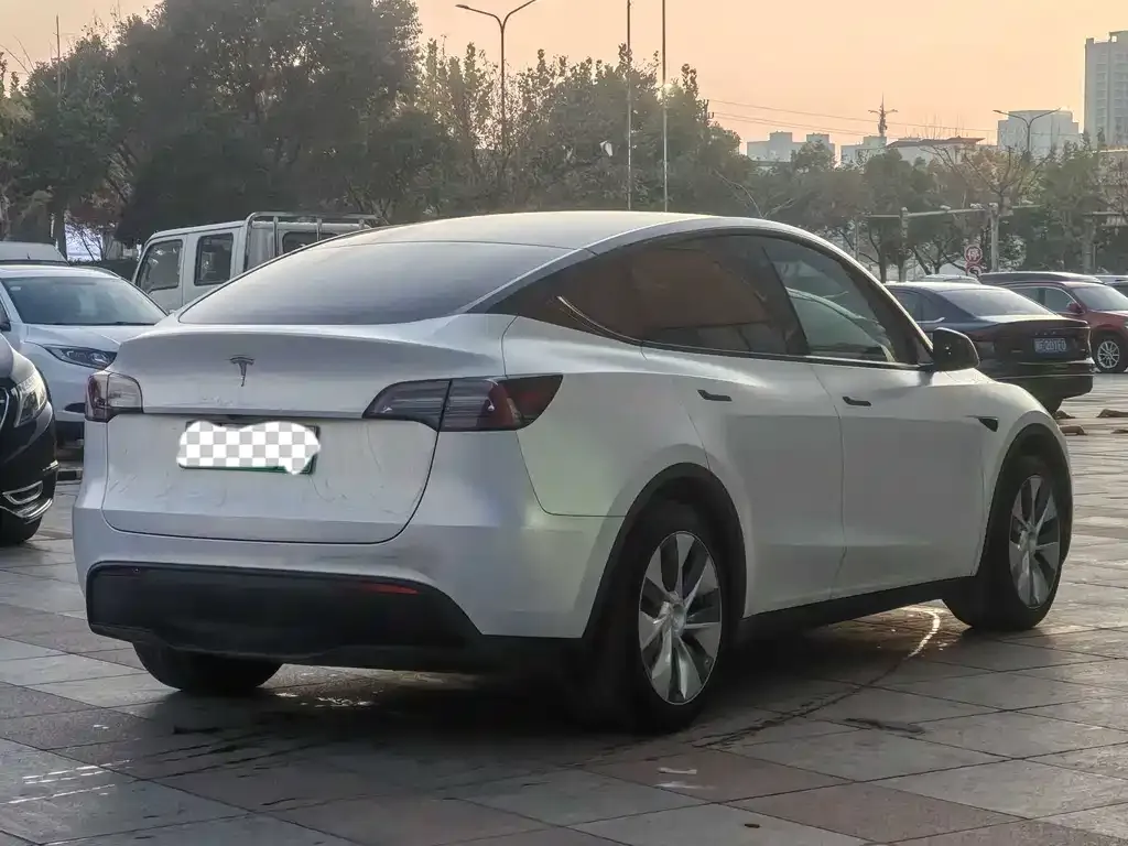 Tesla Model Y 2022 из CN, фото 6