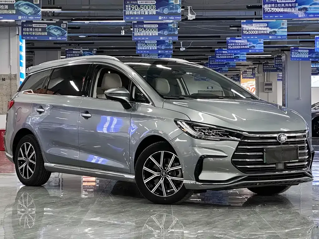 BYD MAX New Energy 2023 из CN, фото 2