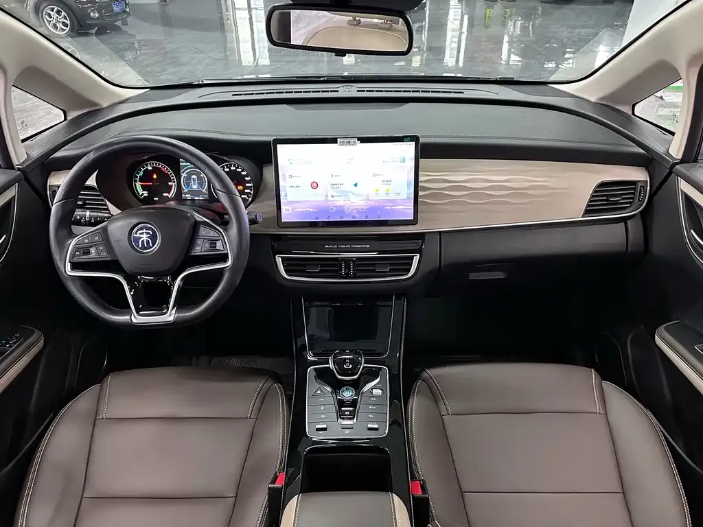 BYD MAX New Energy 2023 из CN, фото 9