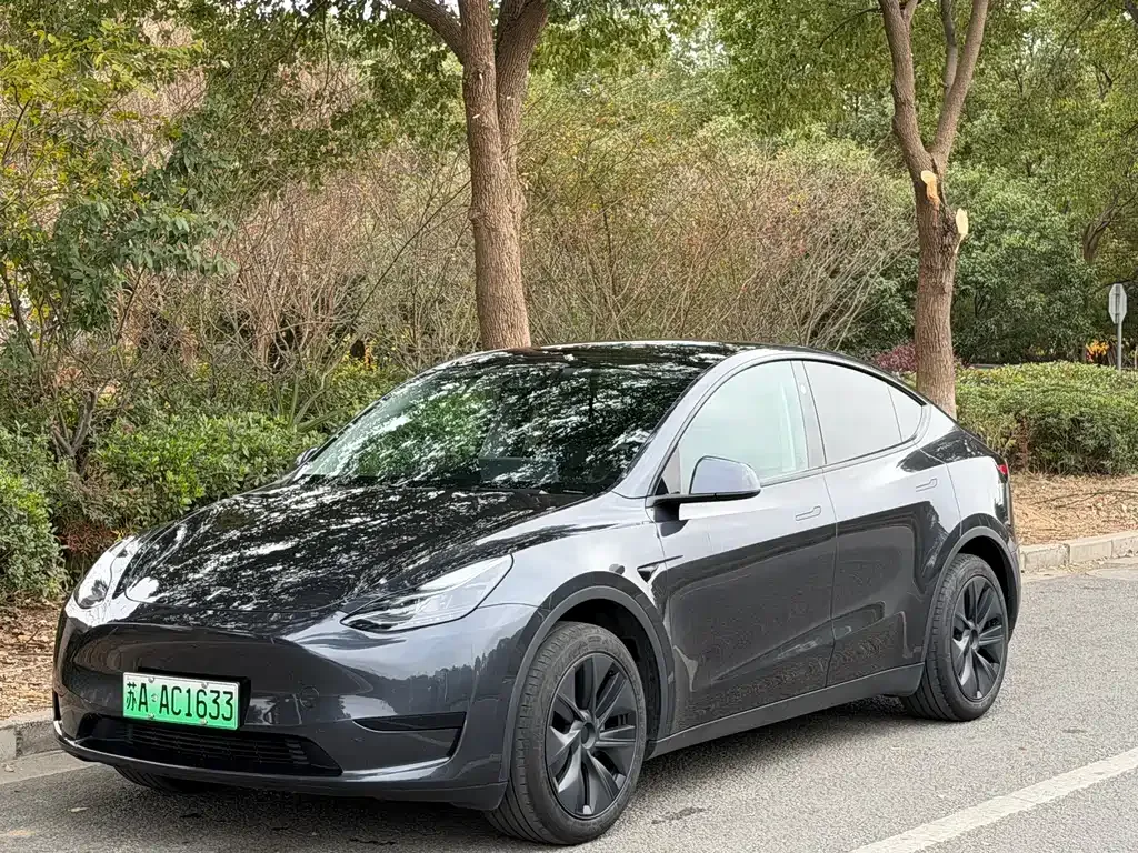 Tesla Model Y 2024 из CN, фото 1
