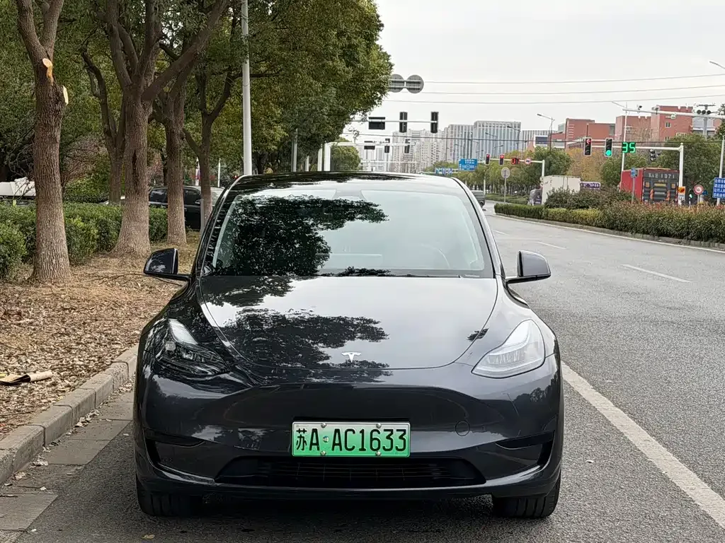 Tesla Model Y 2024 из CN, фото 9