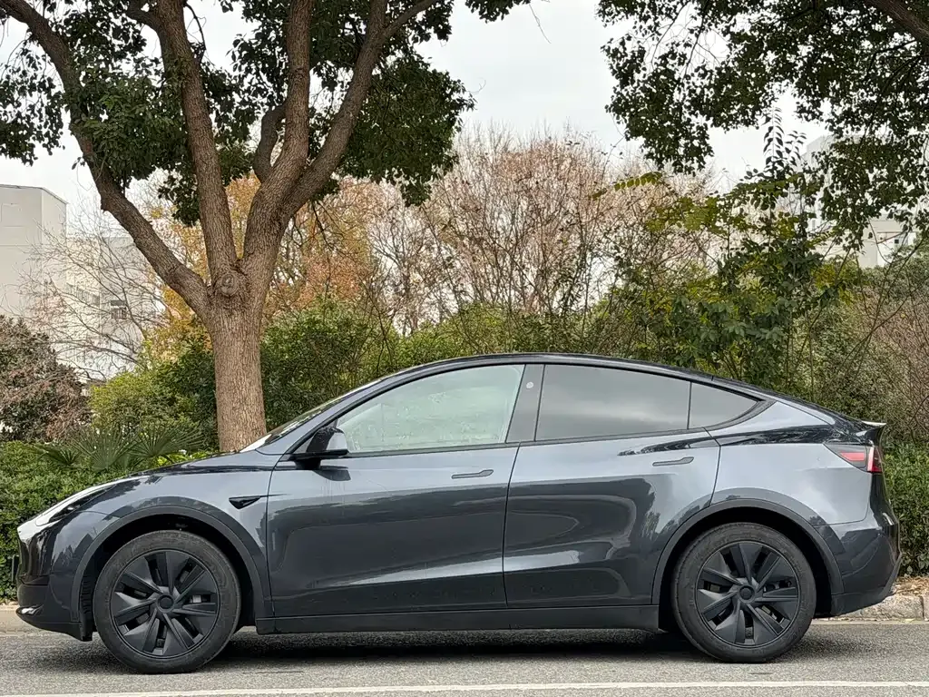 Tesla Model Y 2024 из CN, фото 8