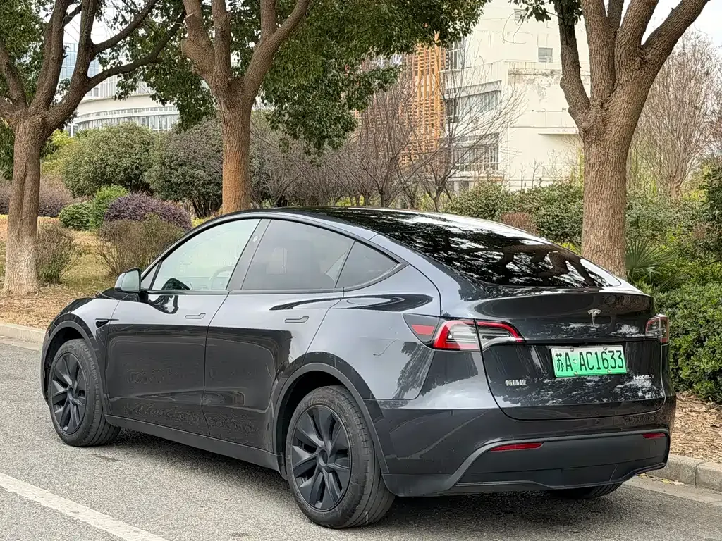 Tesla Model Y 2024 из CN, фото 2