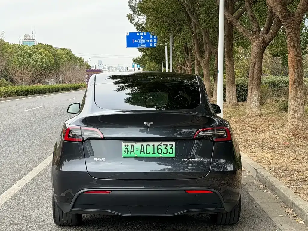 Tesla Model Y 2024 из CN, фото 10