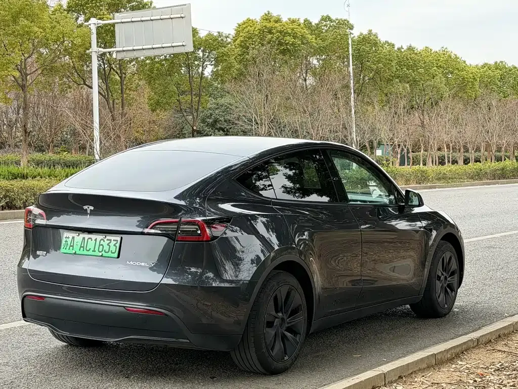 Tesla Model Y 2024 из CN, фото 7
