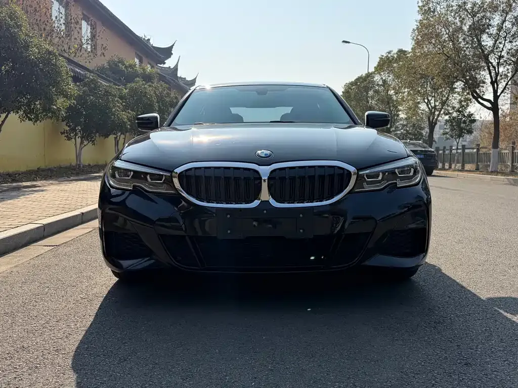 BMW 3 Series 2021 из CN, фото 5