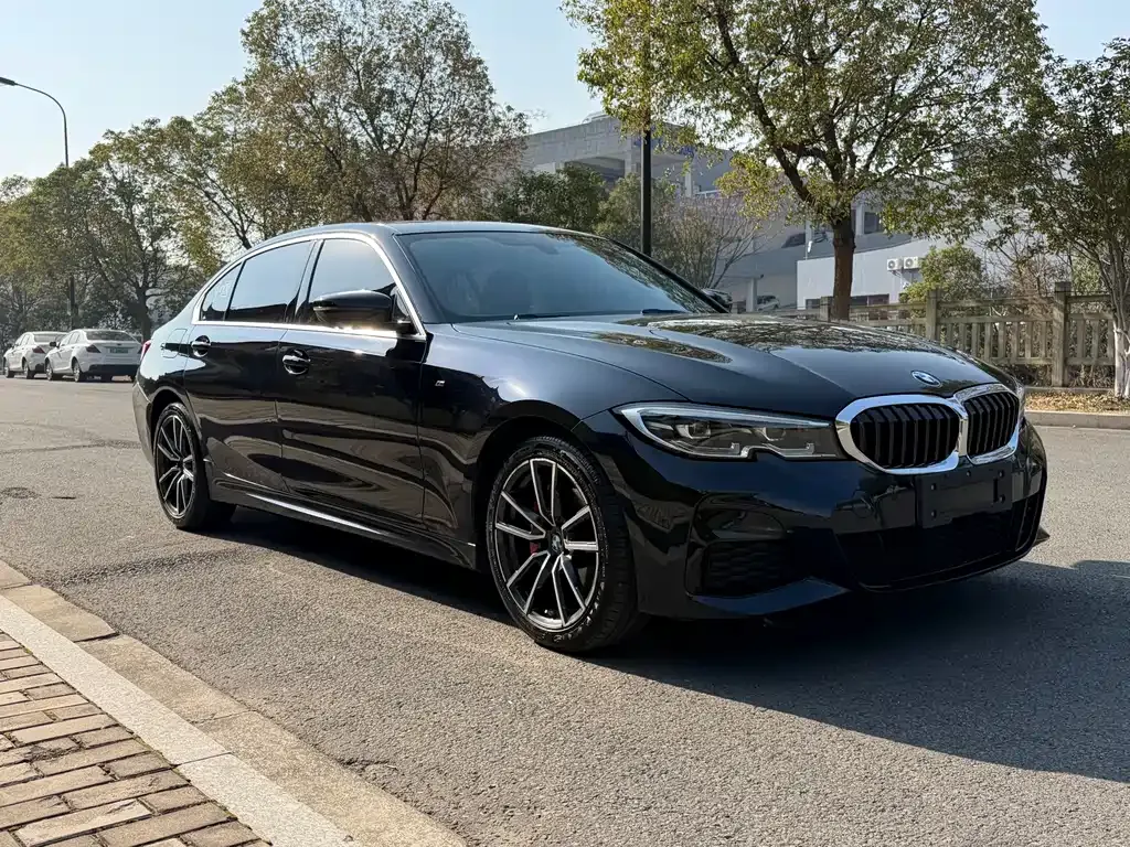 BMW 3 Series 2021 из CN, фото 6