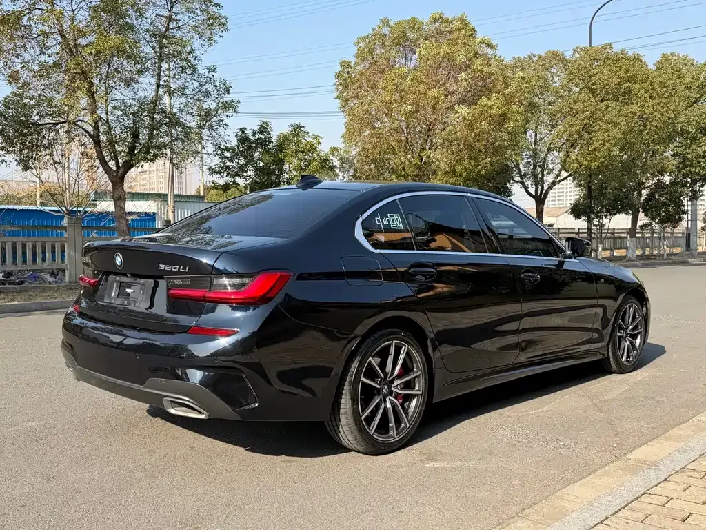 BMW 3 Series 2021 из CN, фото 9