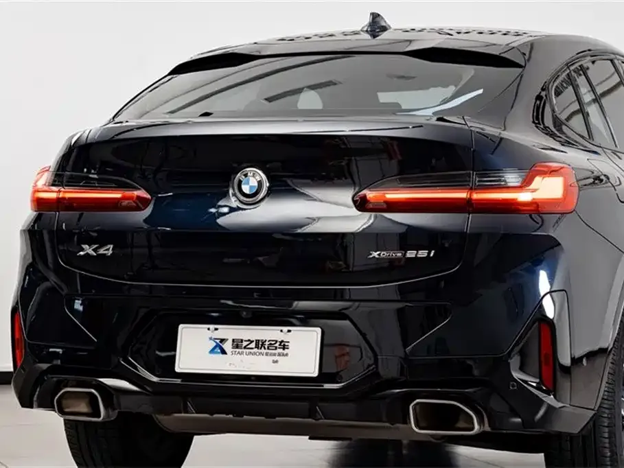 BMW X4 2024 из CN, фото 4