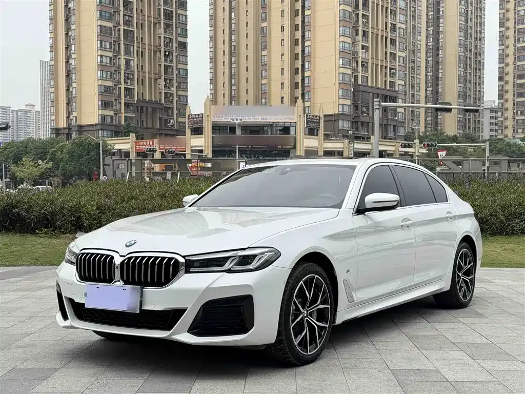 BMW 5 Series 2023 из CN, фото 8