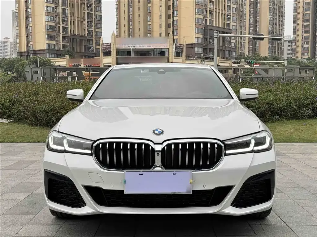 BMW 5 Series 2023 из CN, фото 6