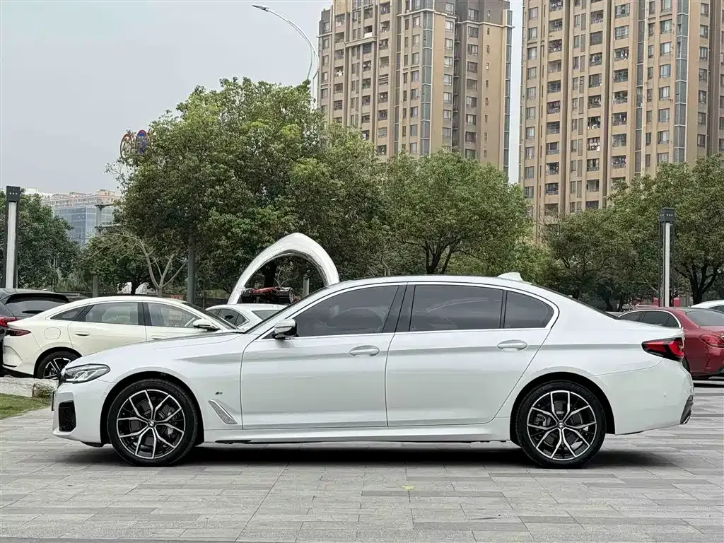 BMW 5 Series 2023 из CN, фото 10
