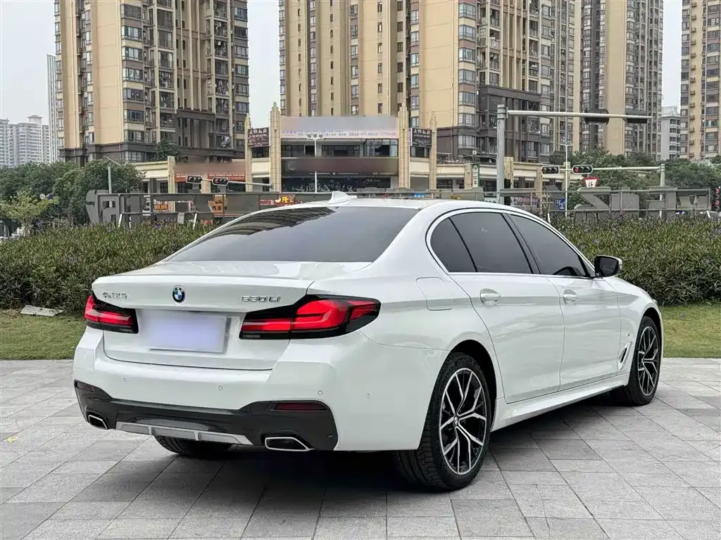 BMW 5 Series 2023 из CN, фото 7