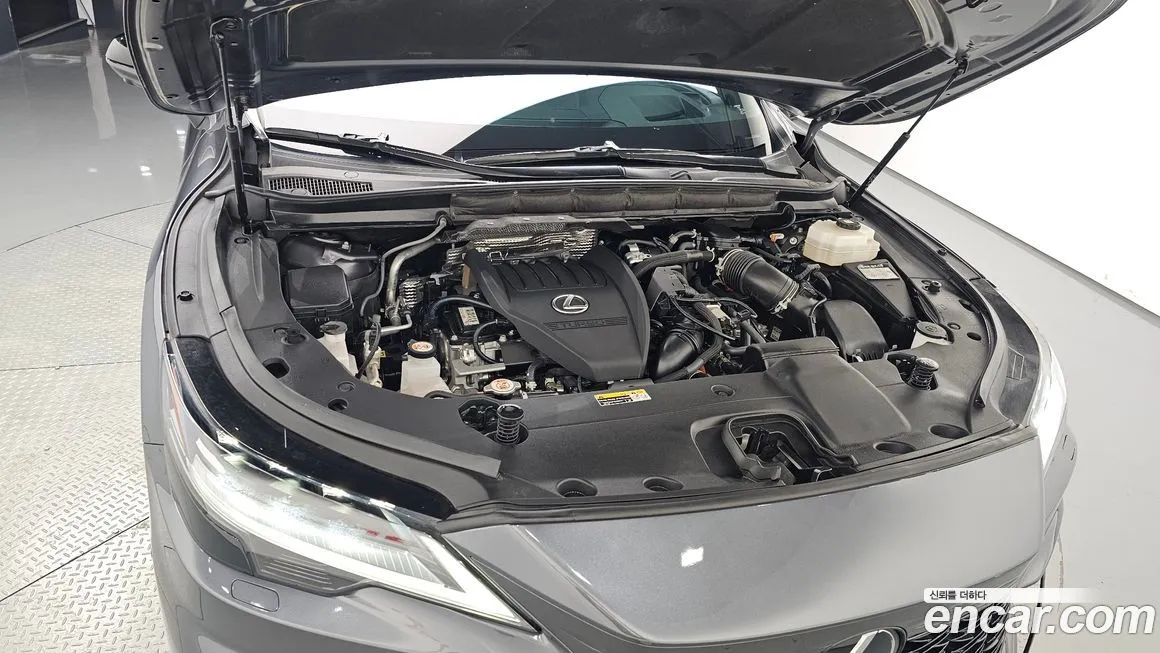 Lexus RX 2024 из KR, фото 7