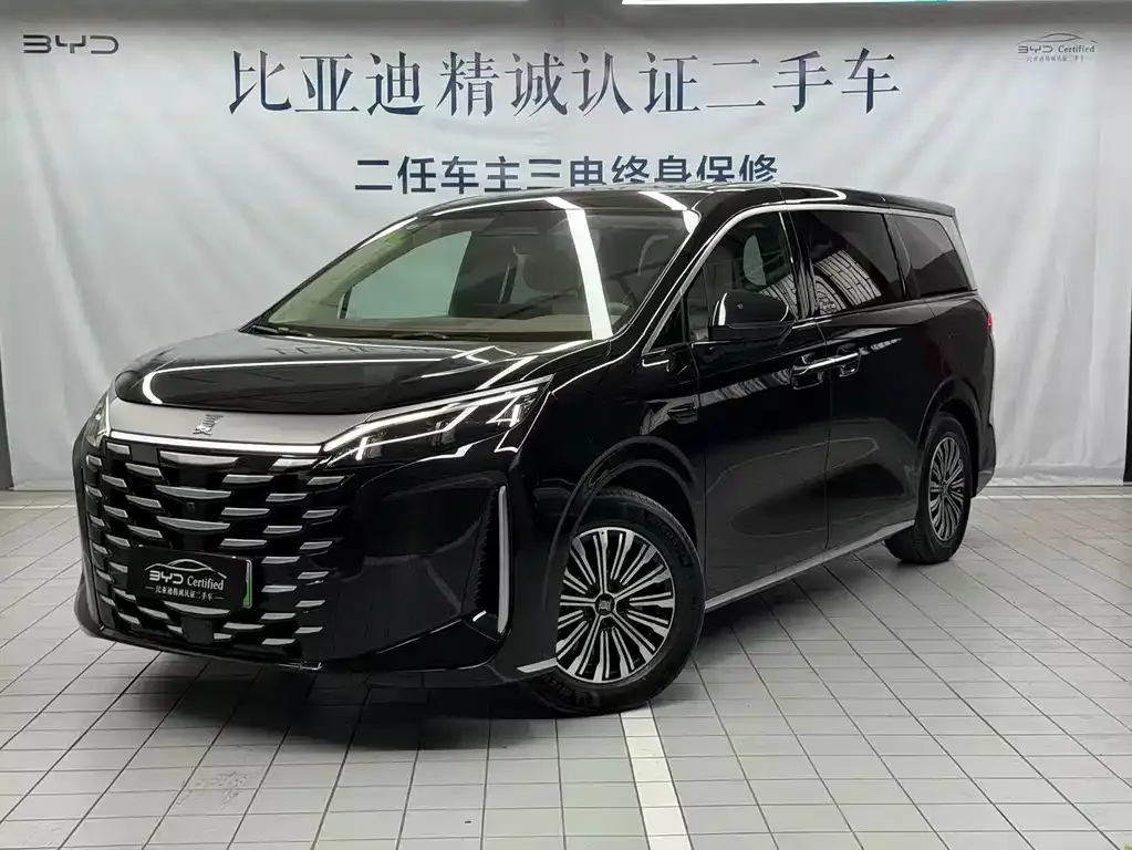 BYD Xia 2025 из CN, фото 1
