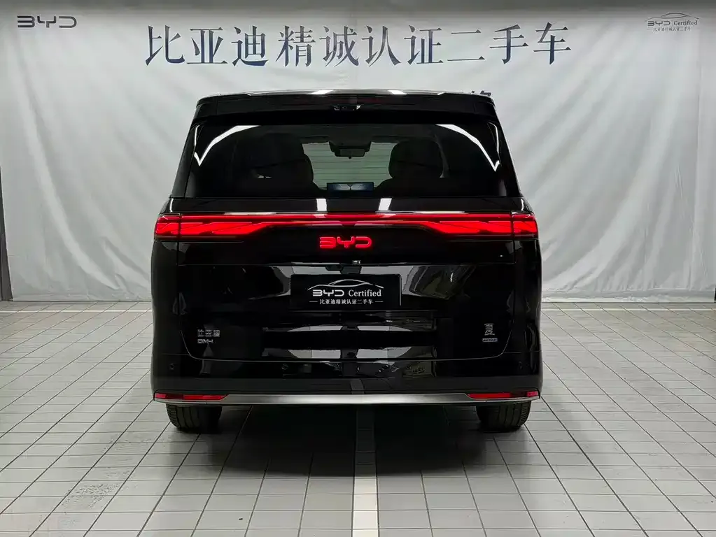BYD Xia 2025 из CN, фото 3