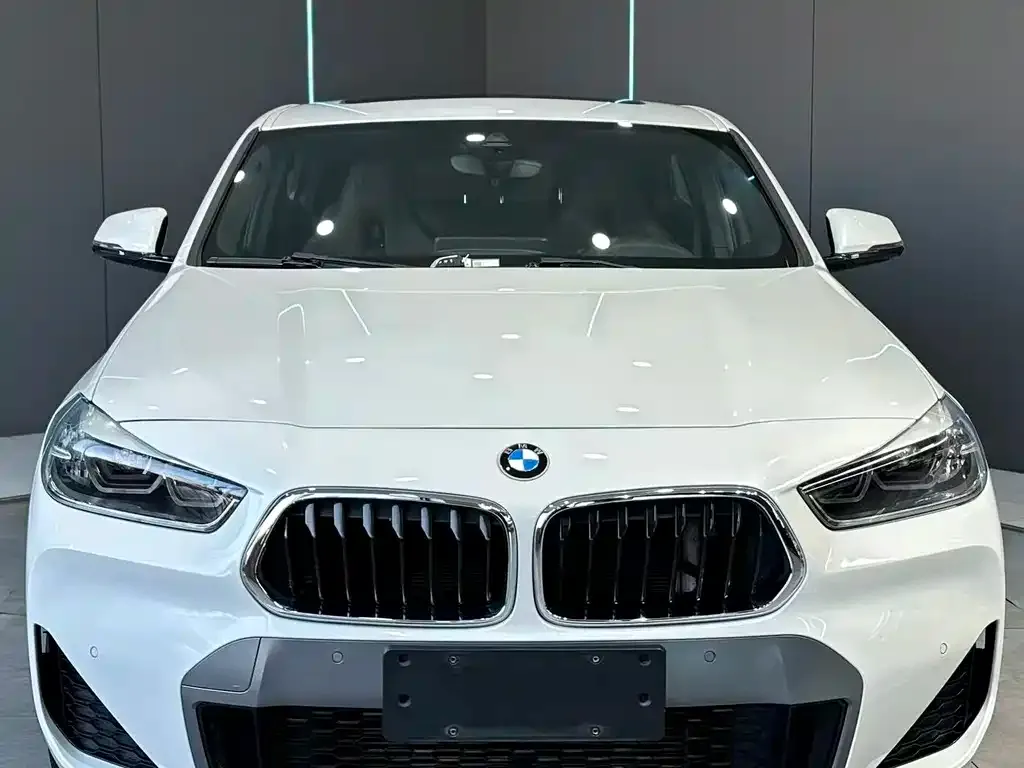 BMW X2 2021 из CN, фото 3