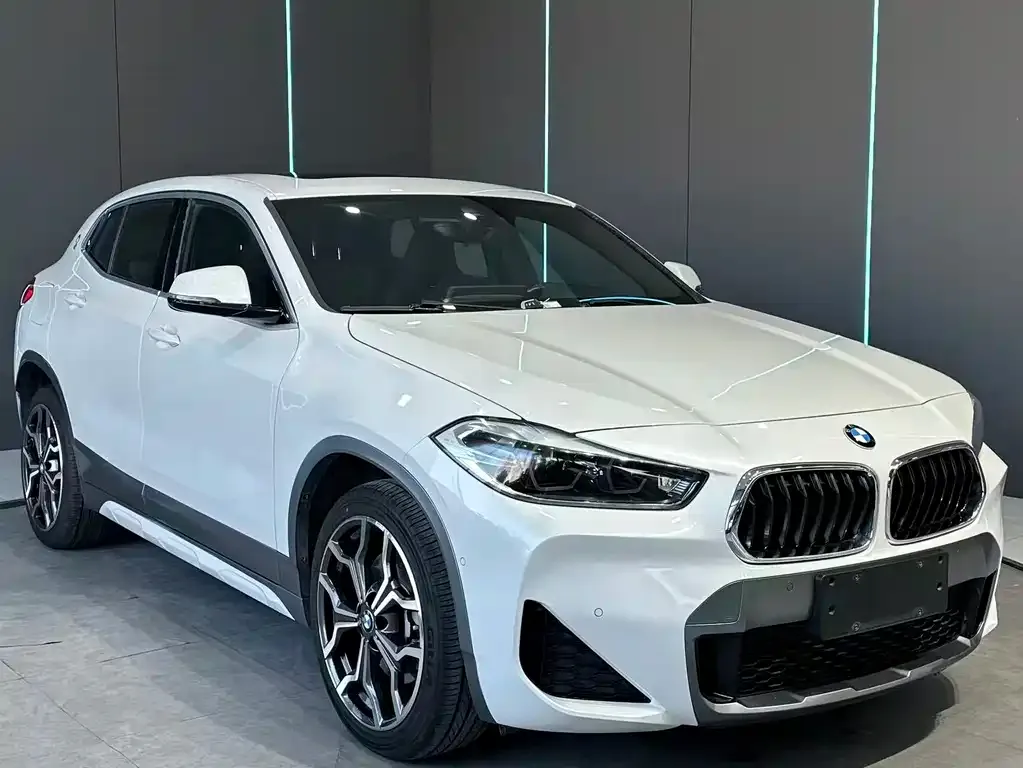 BMW X2 2021 из CN, фото 4
