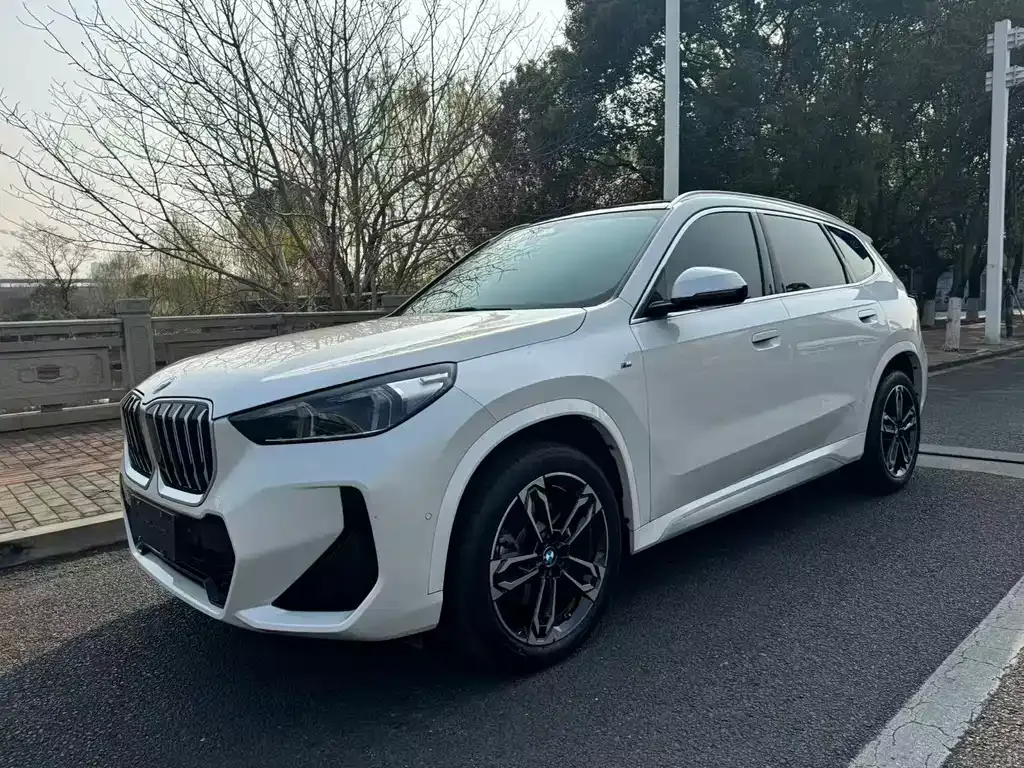 BMW X1 2023 из CN, фото 8