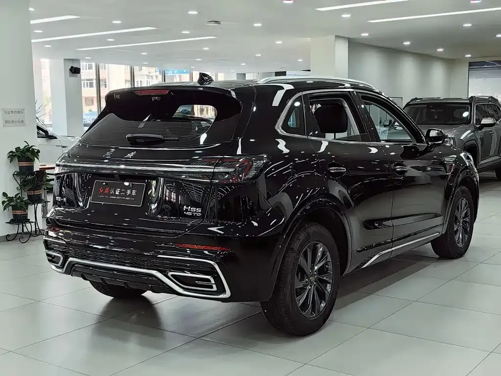 Hongqi HS5 2024 из CN, фото 8