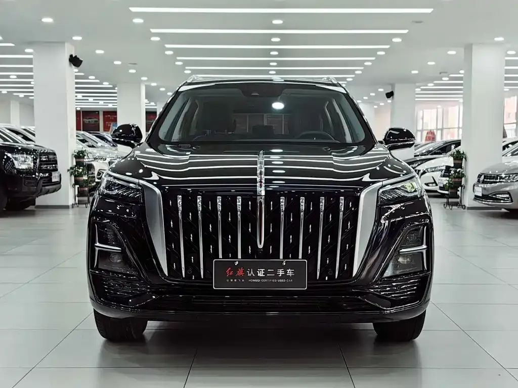 Hongqi HS5 2024 из CN, фото 7