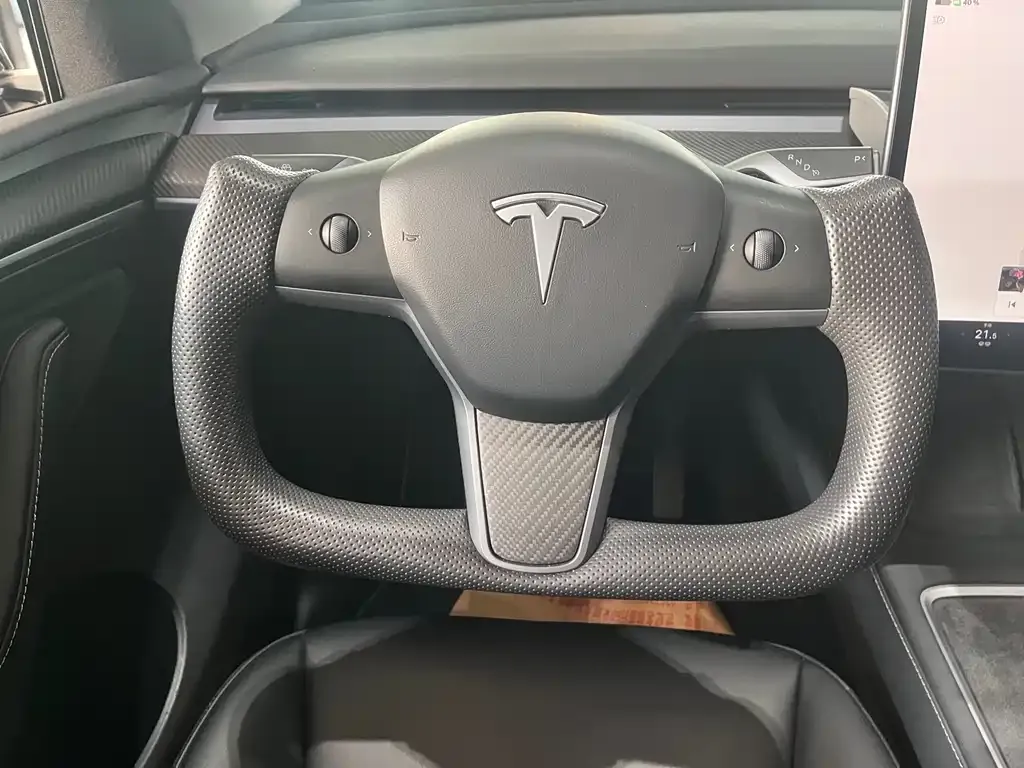 Tesla Model Y — фото 10