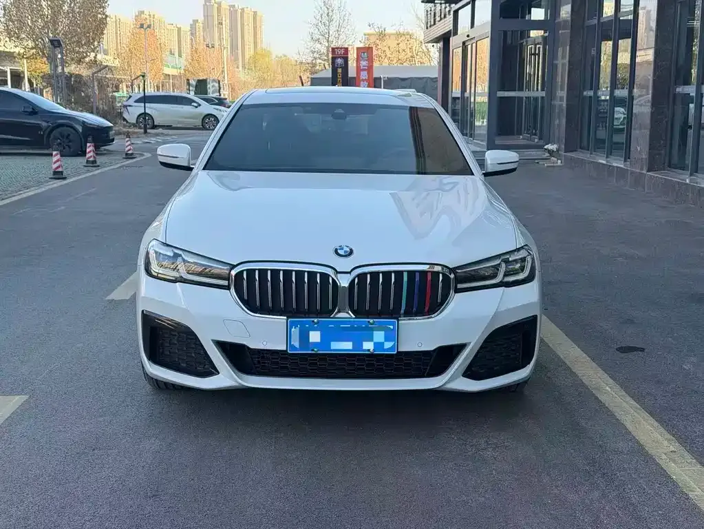 BMW 5 Series 2022 из CN, фото 3