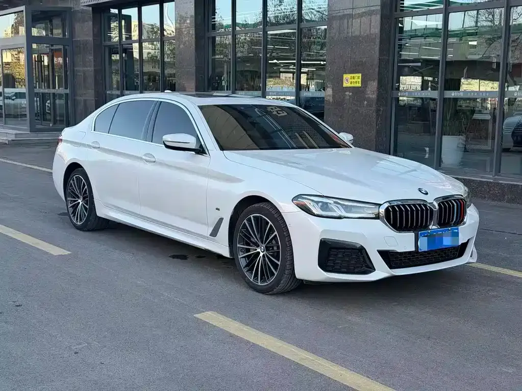 BMW 5 Series 2022 из CN, фото 5