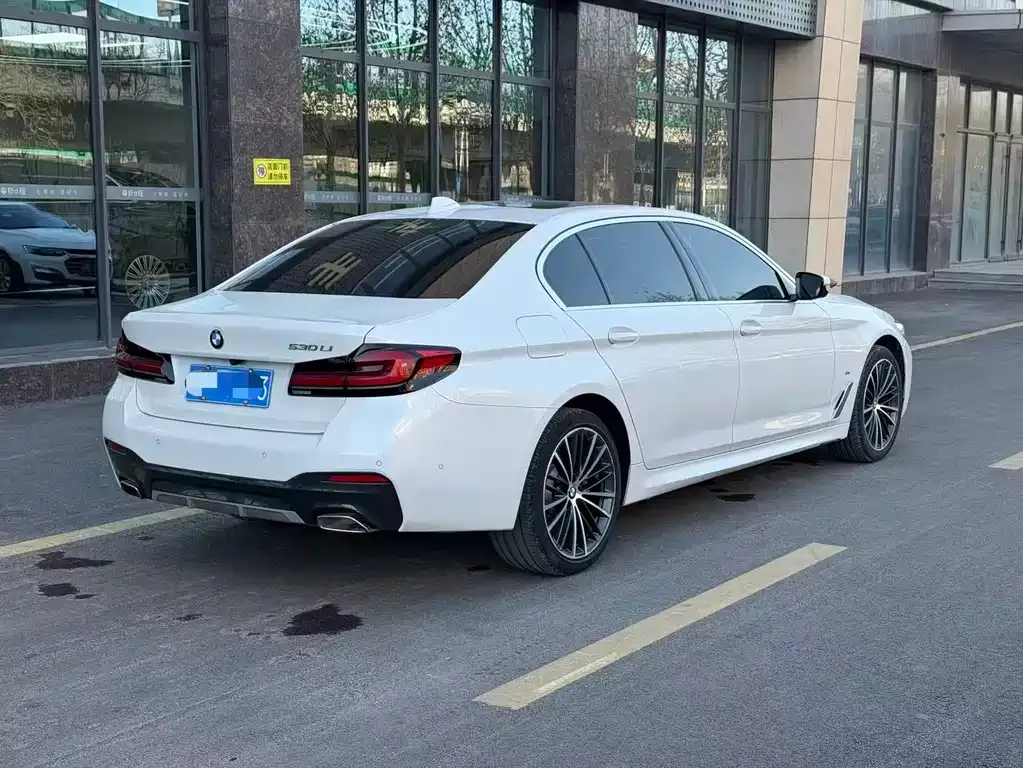 BMW 5 Series 2022 из CN, фото 8