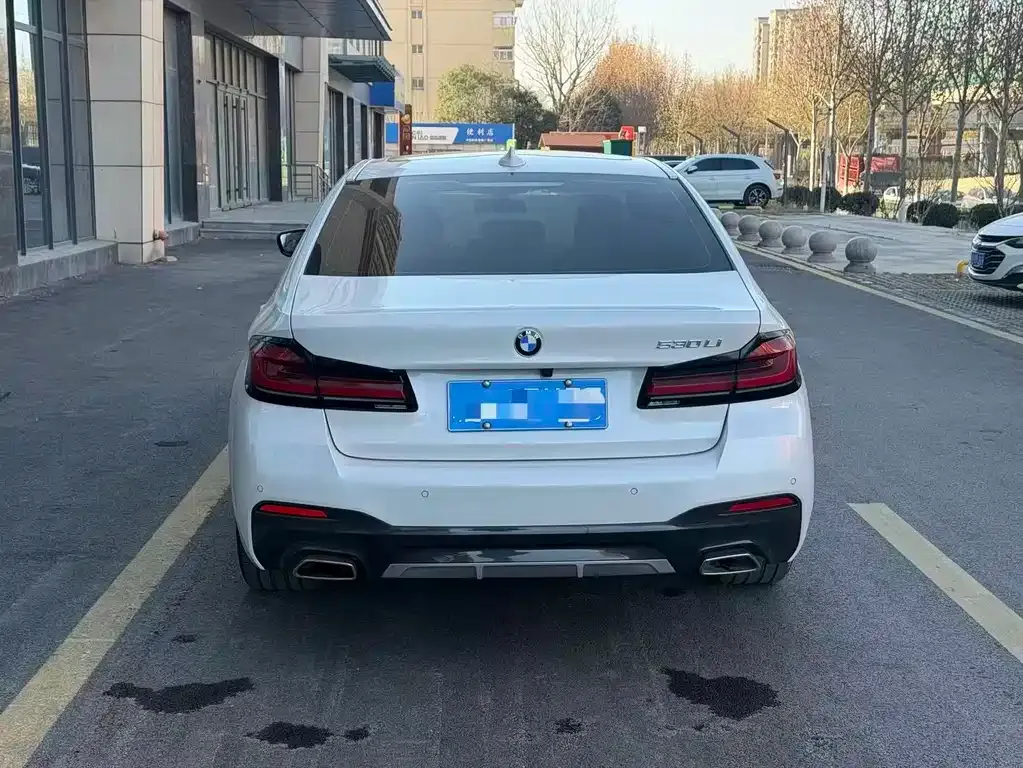 BMW 5 Series 2022 из CN, фото 9
