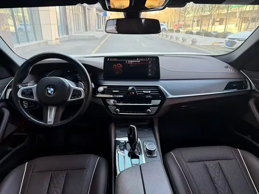 BMW 5 Series 2022 из CN, фото 6