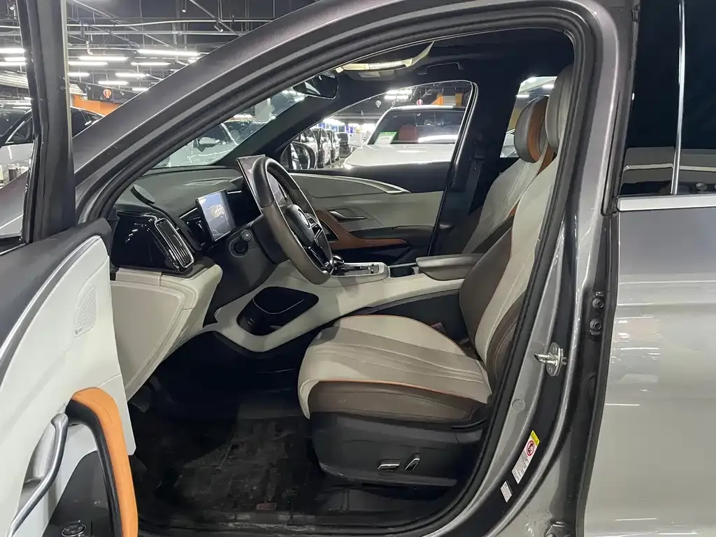 BYD Pro New Energy 2022 из CN, фото 2