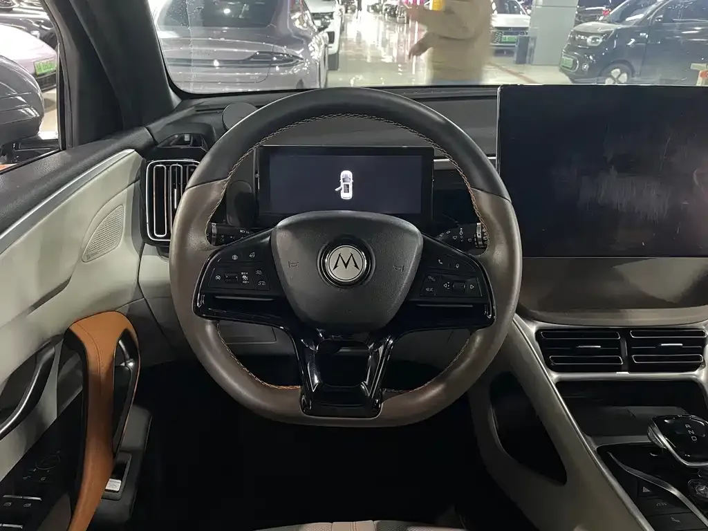 BYD Pro New Energy 2022 из CN, фото 5