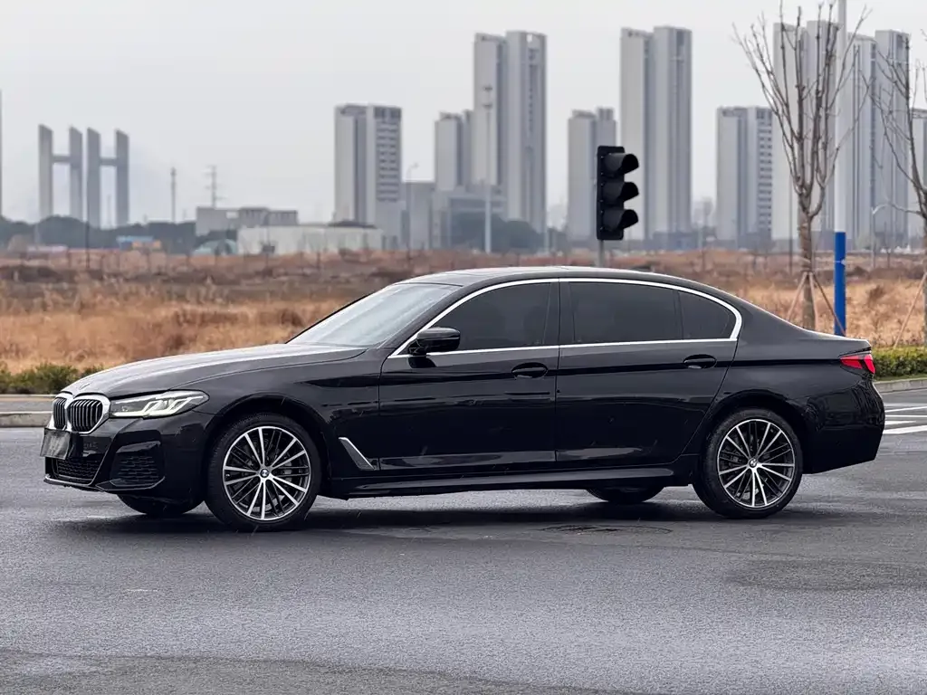 BMW 5 Series 2023 из CN, фото 10
