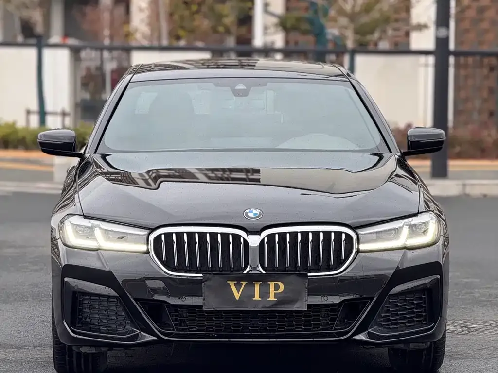 BMW 5 Series 2023 из CN, фото 5