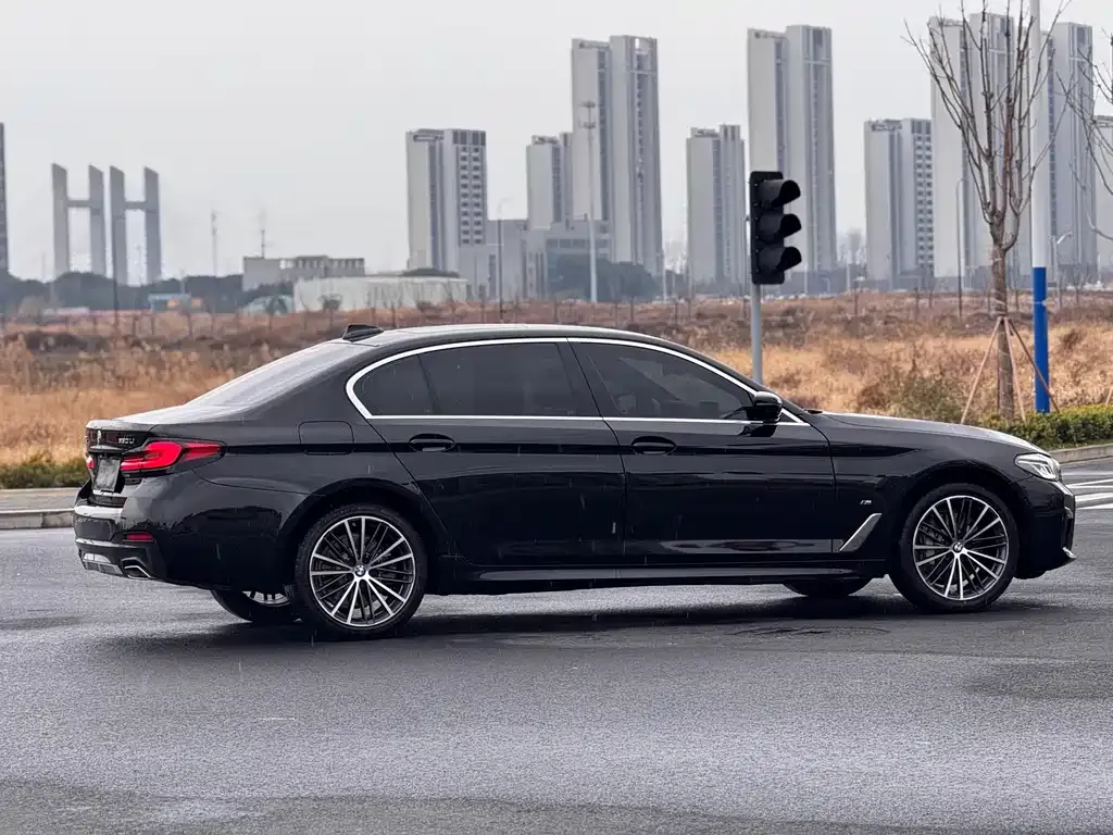 BMW 5 Series 2023 из CN, фото 8