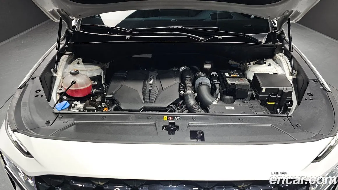 Hyundai Santafe 2021 из KR, фото 6