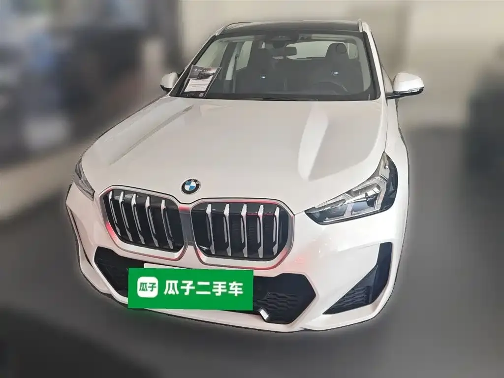 BMW X1 2024 из CN, фото 5