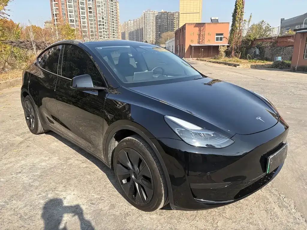 Tesla Model Y — фото 4