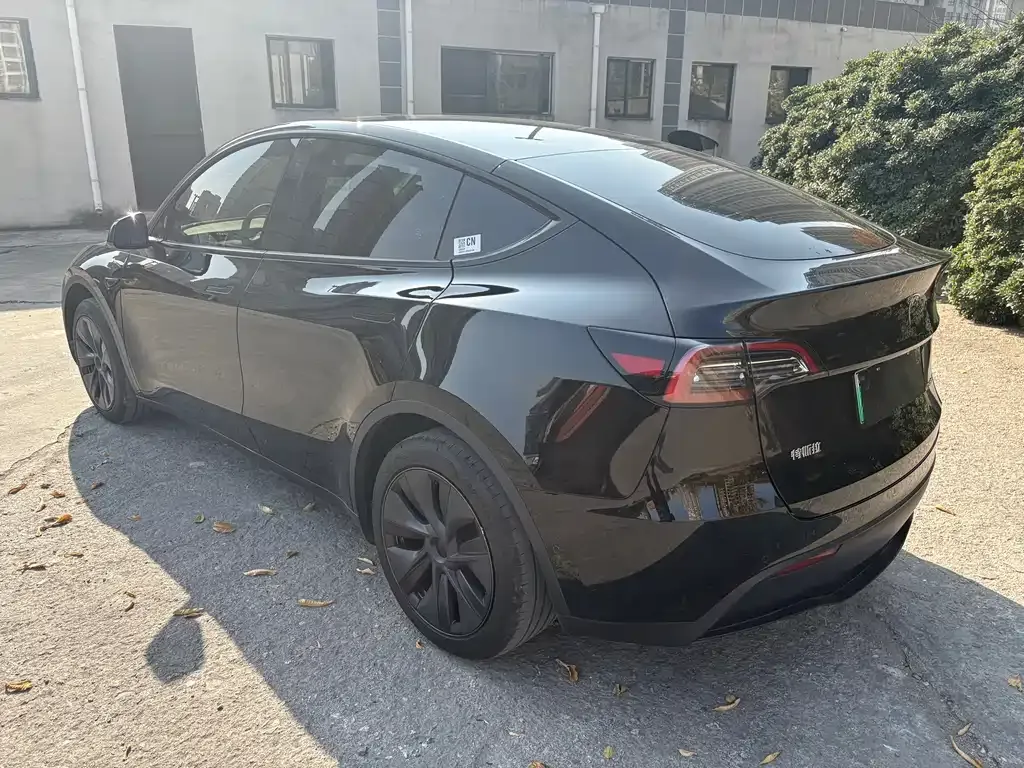Tesla Model Y — фото 7