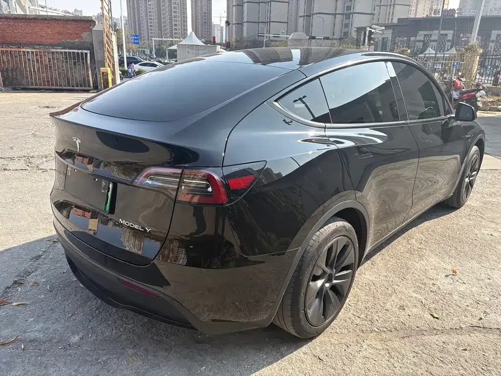 Tesla Model Y — фото 8